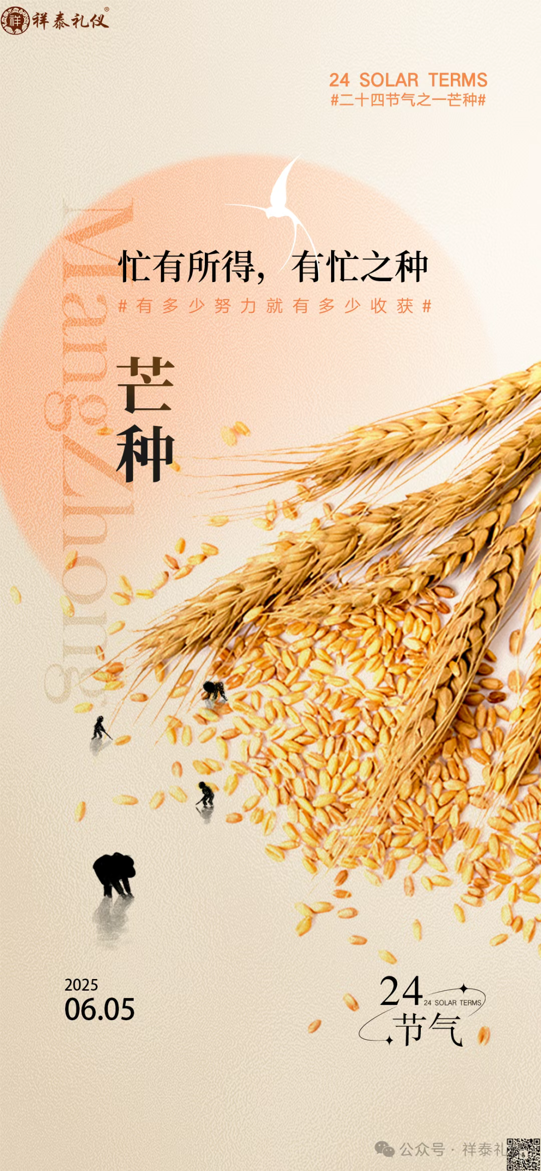 风吹麦浪  芒种已至